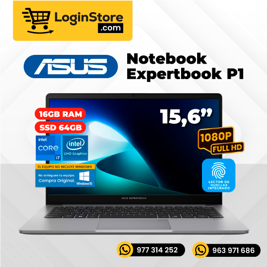 Notebook Expertbook P1
